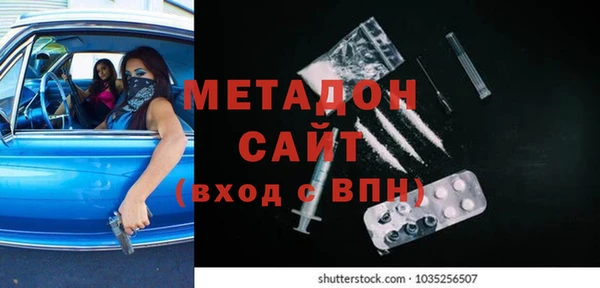 гашик Алексин