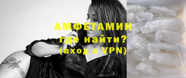 гашик Алексин