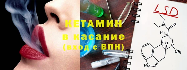 гашик Алексин