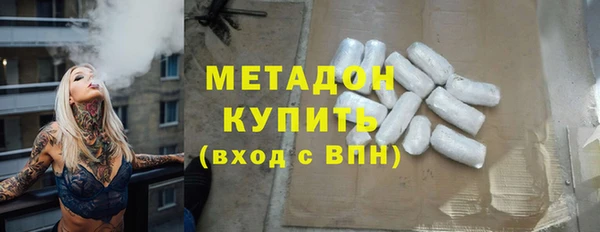 гашик Алексин
