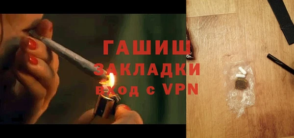 гашик Алексин