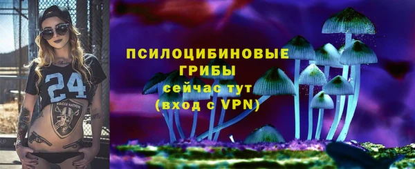 гашик Алексин