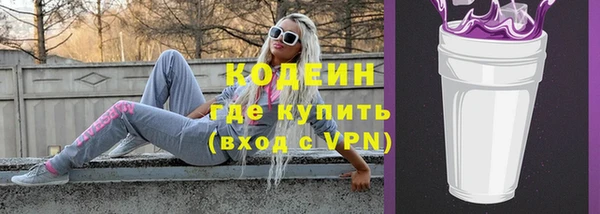 гашик Алексин