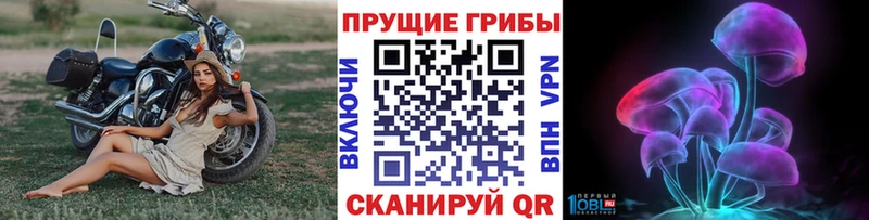 Псилоцибиновые грибы прущие грибы  mega   Саки 